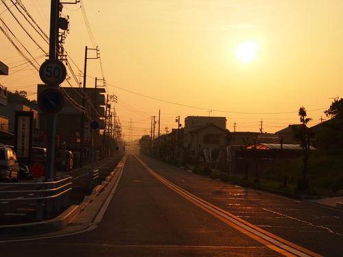 d0048812_1624331.jpg