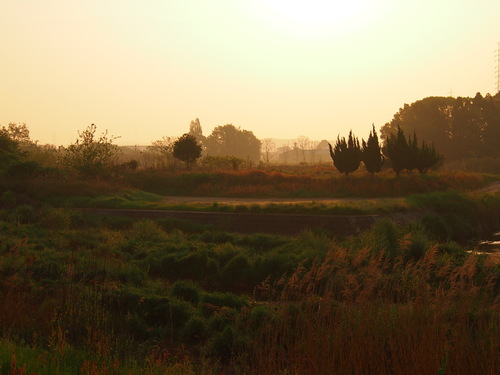 d0048812_1625109.jpg