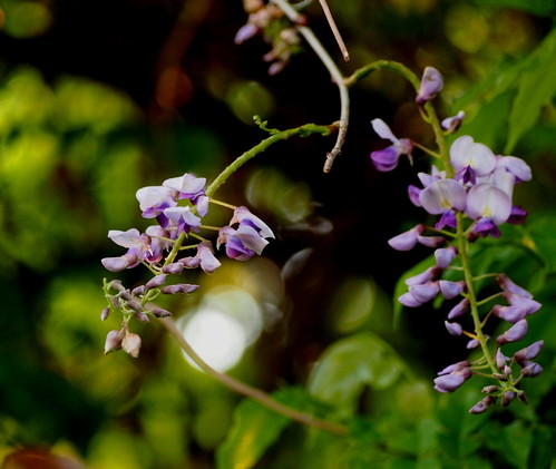 d0048812_16291777.jpg