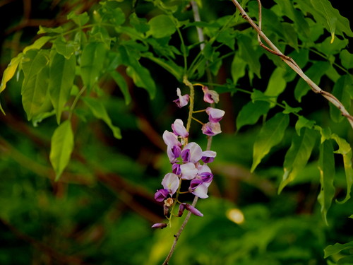 d0048812_16293190.jpg