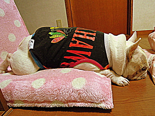 a0158613_20461255.jpg
