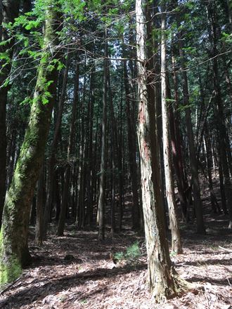 c0114121_239258.jpg