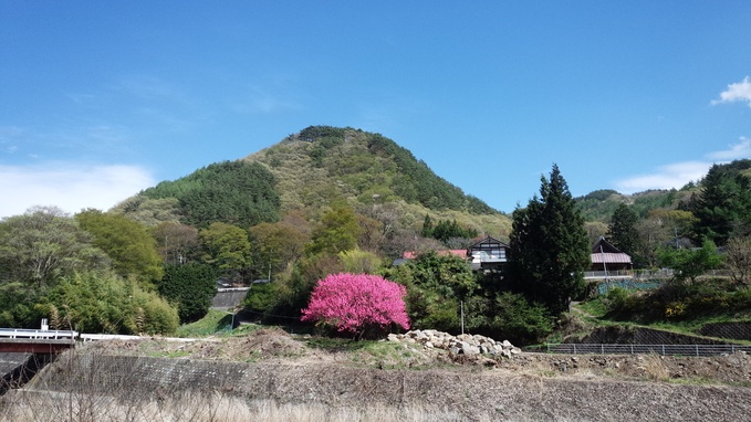 比志神社の春の神楽_c0155326_215138.jpg