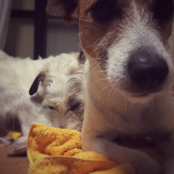 b0188228_23023367.jpeg