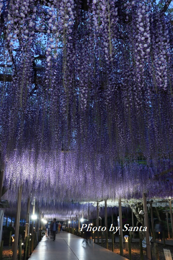 c0201929_7382886.jpg