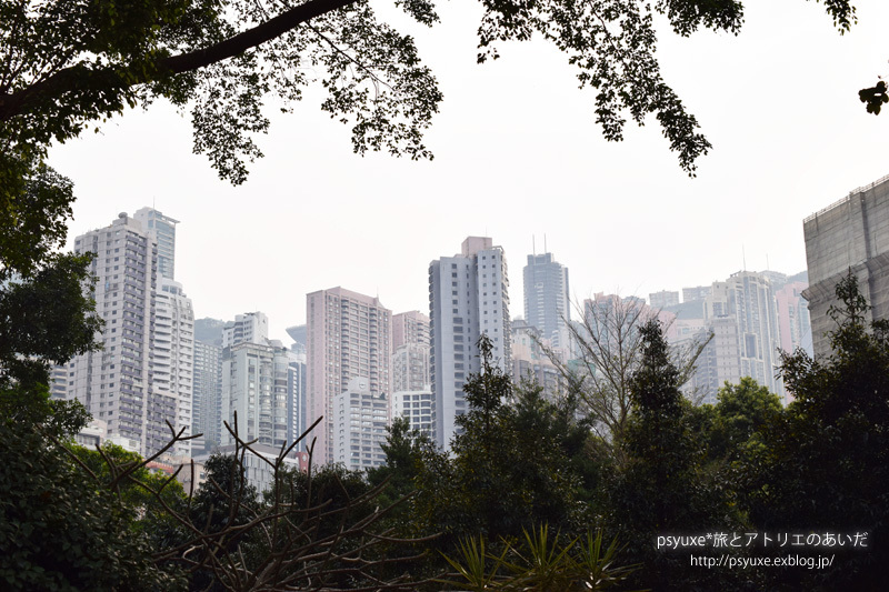 香港公園の茶具文物館へ行く_e0131432_17311984.jpg