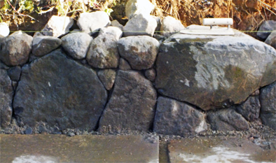 野面積_f0045132_15351415.jpg