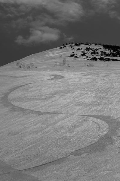d0231339_21282620.jpg