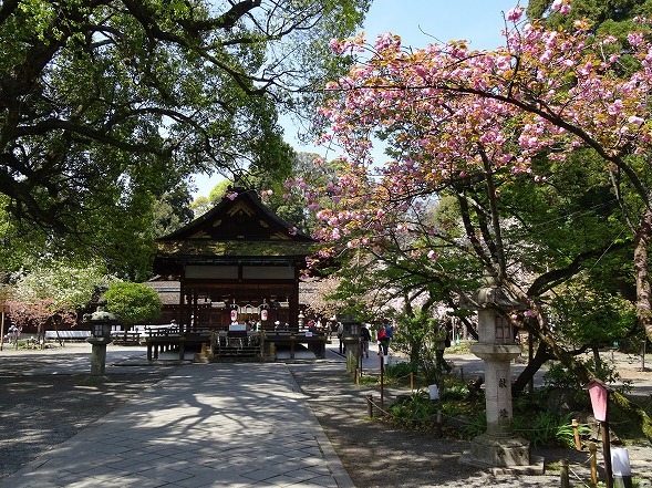 b0299042_1949113.jpg