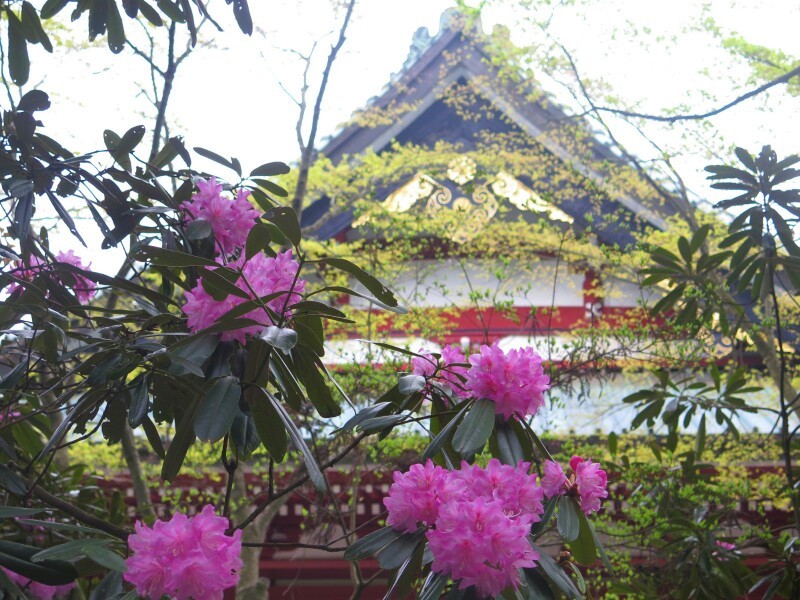 c0292342_22561654.jpg