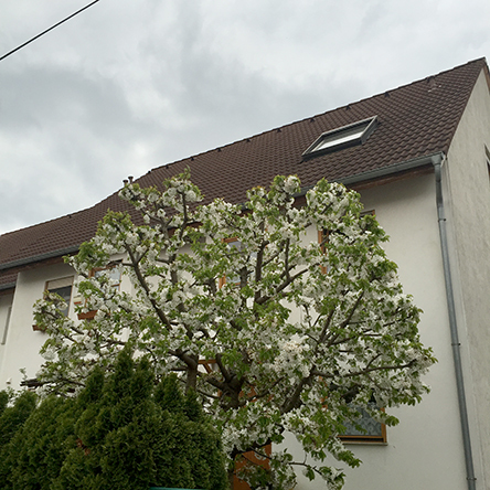 c0352544_14411684.jpg