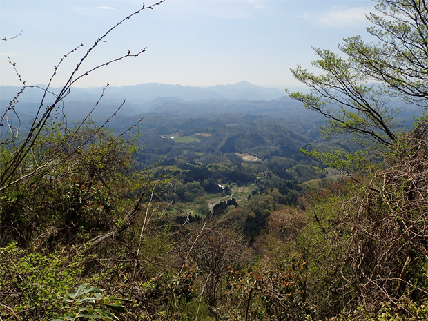 ギフチョウとお友達・大江高山②_f0214649_3312829.jpg