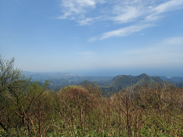 ギフチョウとお友達・大江高山②_f0214649_444840.jpg