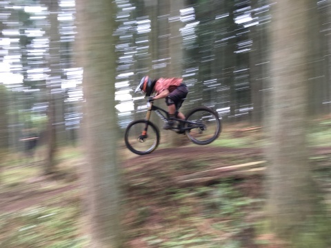 b0164252_13275481.jpeg