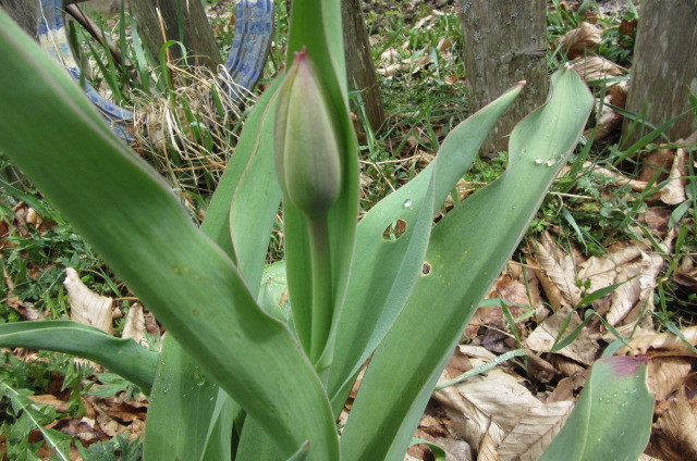 b0247153_02473377.jpg