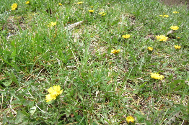 b0247153_02520286.jpg