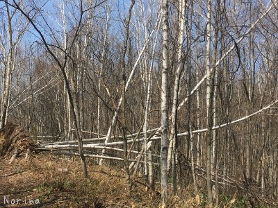 e0326953_23415982.jpg