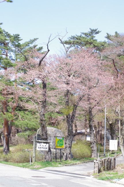 b0321359_20523550.jpeg