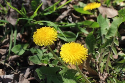f0063659_0910100.jpg