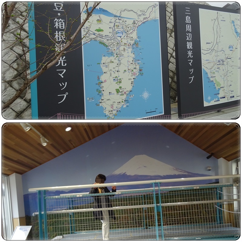 8・三島スカイウォーク_b0236665_22341980.jpg