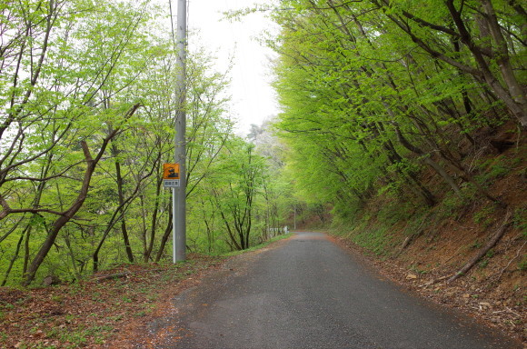 a0232368_21282965.jpeg
