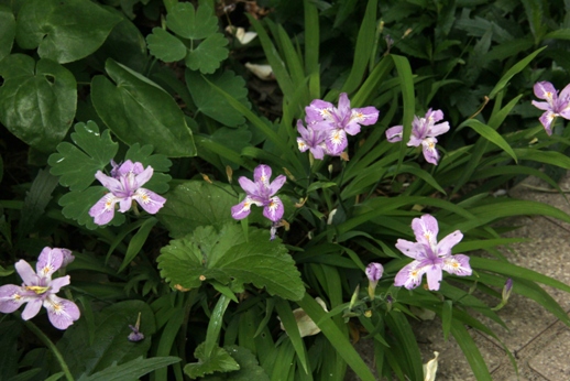 b0214473_1826417.jpg