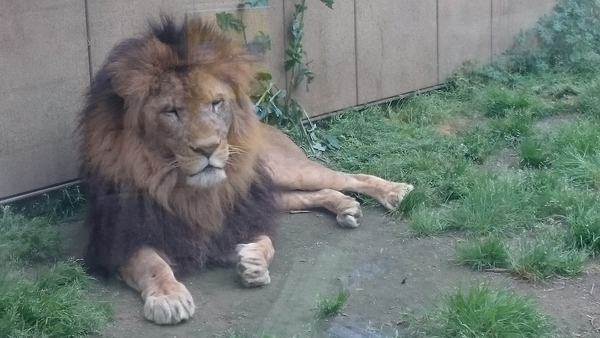 東武動物公園_e0040673_14191391.jpg