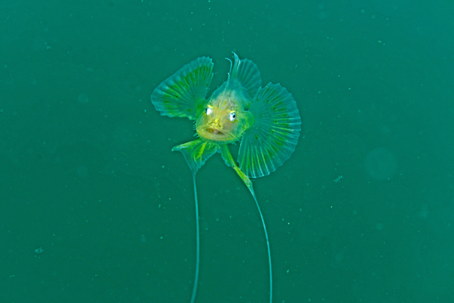 b0137083_20312077.jpg