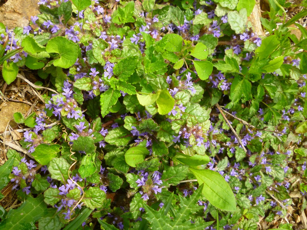 e0355083_20125396.jpg