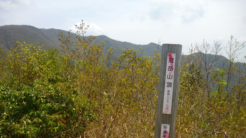e0355083_20135155.jpg