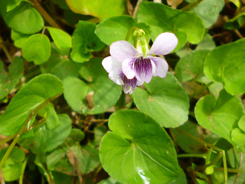 e0355083_2013730.jpg