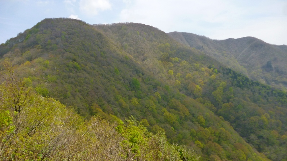 e0355083_20141047.jpg