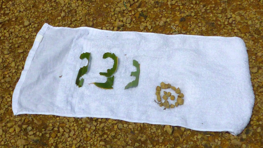 e0355083_2015039.jpg