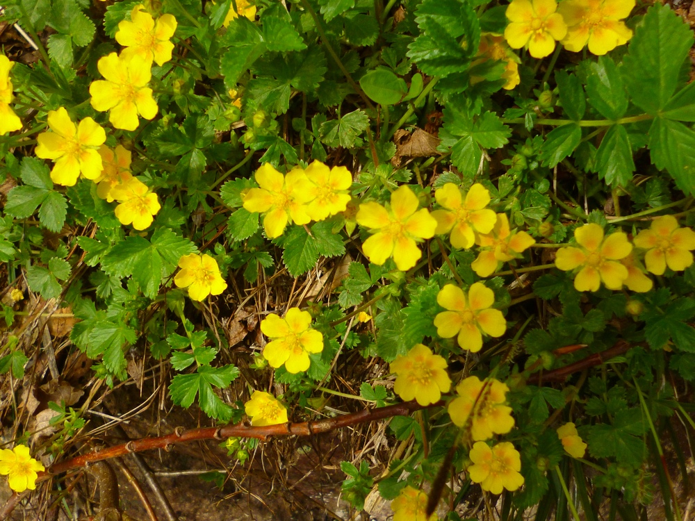 e0355083_2015531.jpg