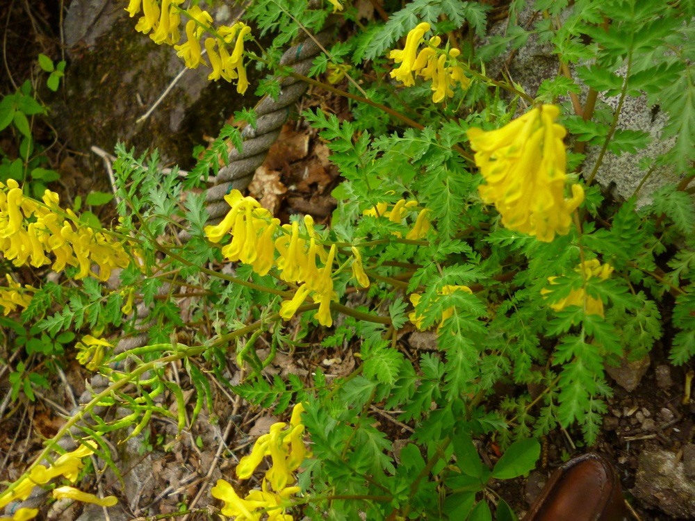 e0355083_20171474.jpg