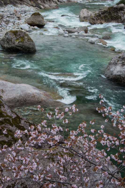 山形県小国町　玉川_c0092386_21222298.jpg