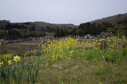 b0119493_0591182.jpg
