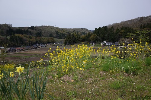 陶都街並探偵団　金沢ウォークその１_b0119493_0591182.jpg