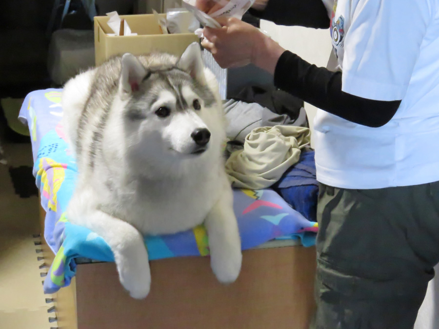 c0049299_22242116.jpg