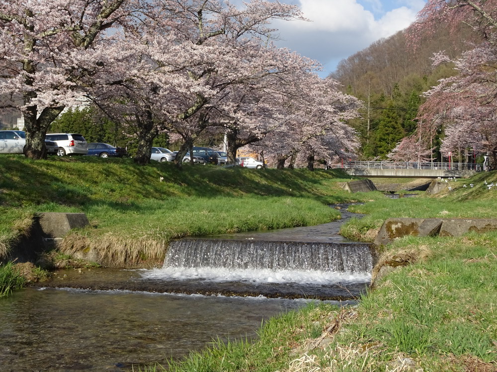 b0052108_19135210.jpg