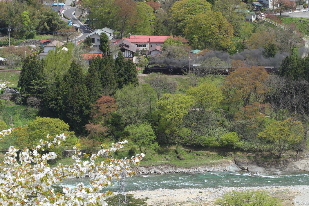 新緑の利根川 - 2016年桜・上越線 - _b0190710_23224491.jpg