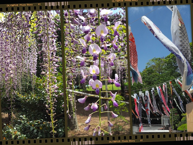 お寺さん・神社・巡り_c0248013_17305596.jpg