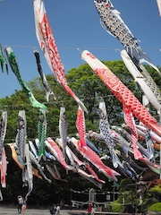 お寺さん・神社・巡り_c0248013_17344438.jpg