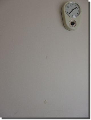 a0114514_209027.png