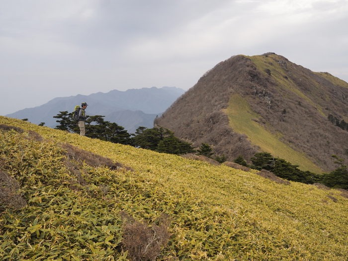笹ヶ峰～ちち山登山 その２（ちち山）_c0116915_017175.jpg