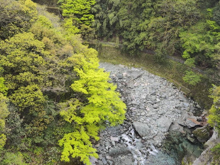 笹ヶ峰～ちち山登山 その２（ちち山）_c0116915_0361066.jpg