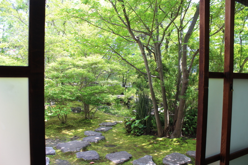 喜楽亭で楽しむ　おいしい日本茶 ４月_b0220318_21072546.jpg