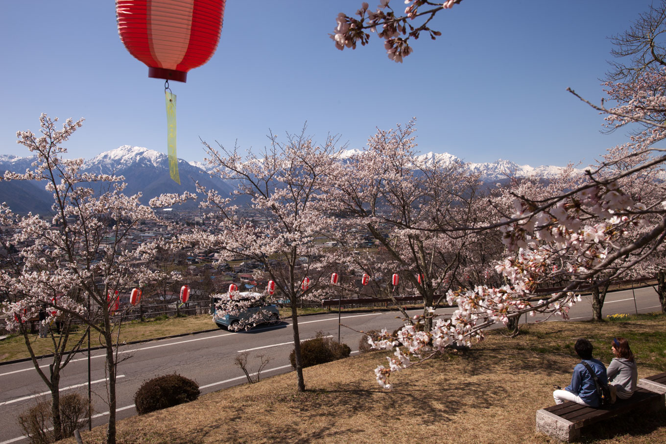 残雪の北アルプスと桜を楽しむ　大町公園_c0369219_16020654.jpg