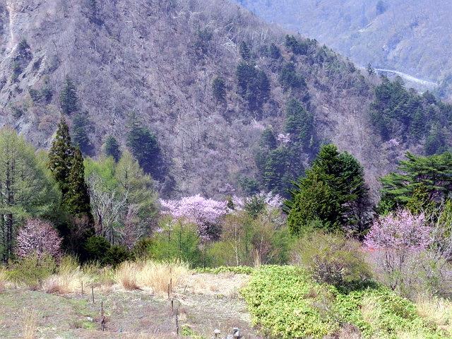 e0234924_17345570.jpg