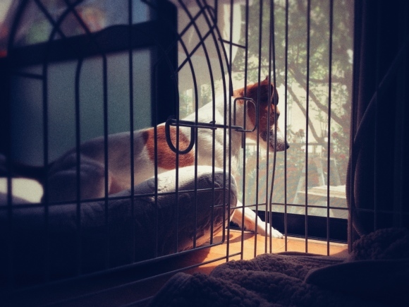 b0188228_16505242.jpeg